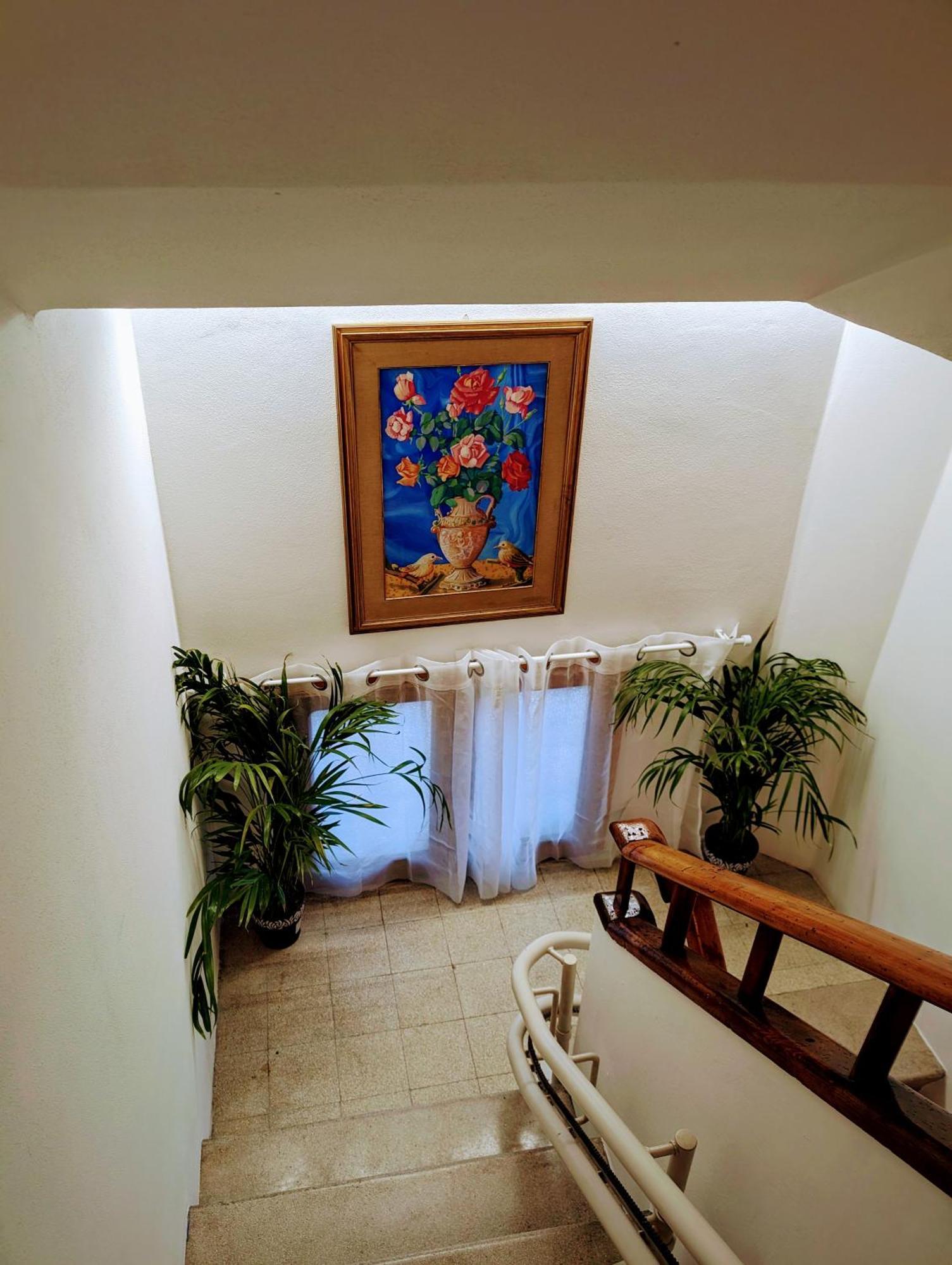 Guest House Il Glicine Stadio - Ospedale Cesena Luaran gambar